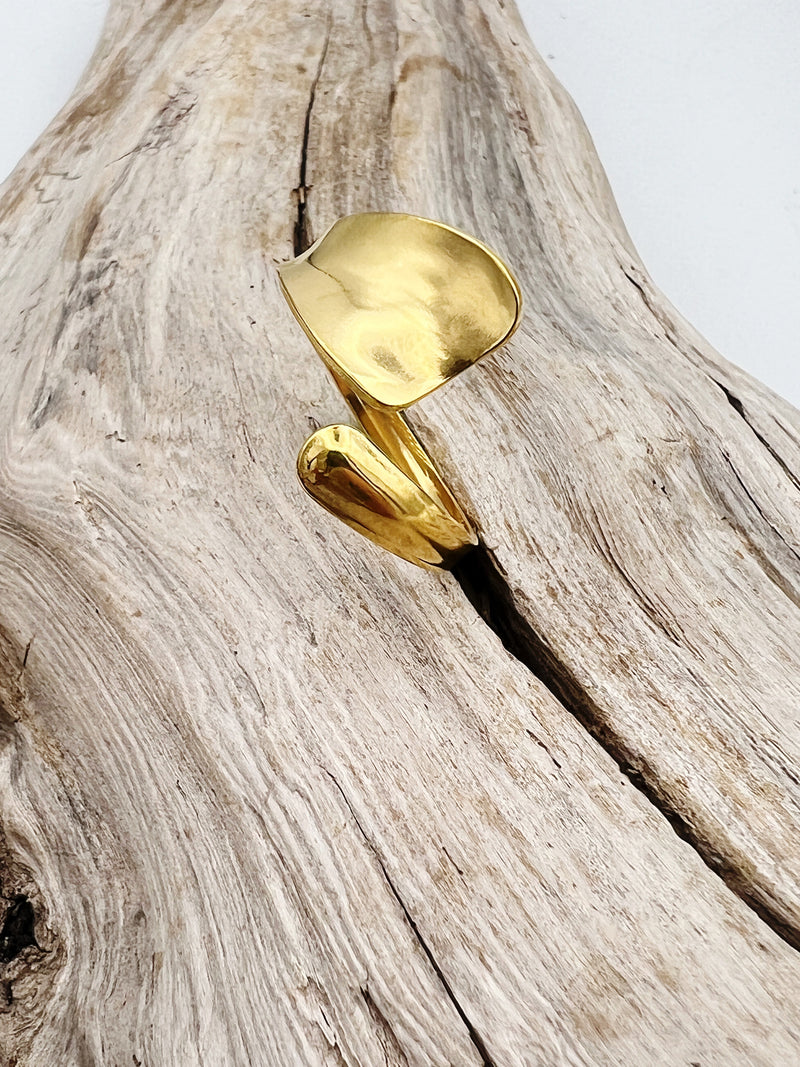 Golden Leaves | Adjustable Leaf-Inspired Rings