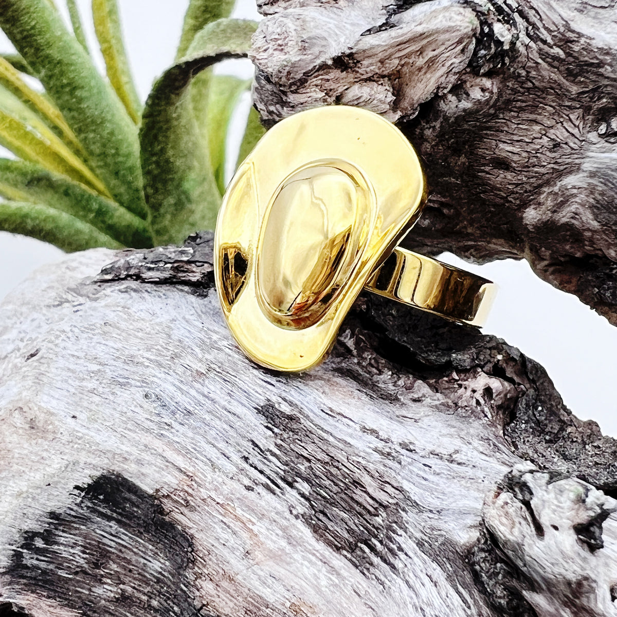 Gold ring on a piece of driftwood with a plant in the background
