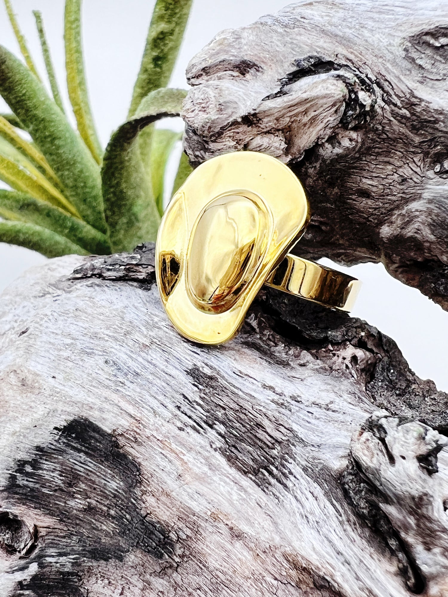 Gold ring on a piece of driftwood with a plant in the background